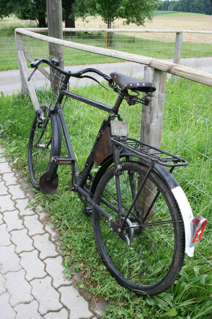 günstiges gutes fahrrad für 12 jährige
